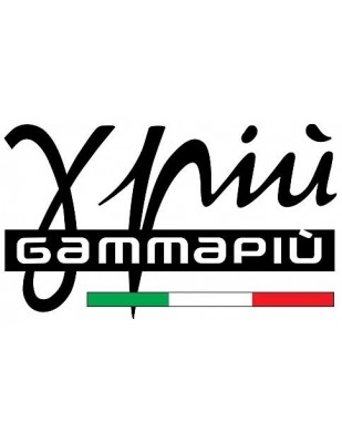 logo Gamma Più